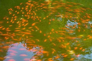 《上古卷轴5》恶魔城Mod超酷 大战吸血鬼怪物